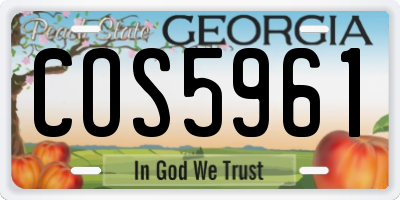 GA license plate COS5961