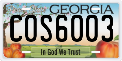 GA license plate COS6003
