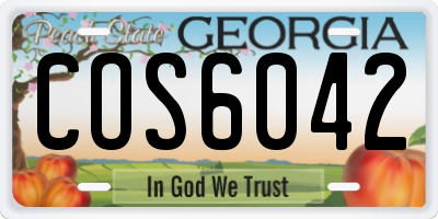 GA license plate COS6042