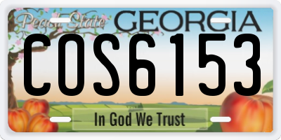 GA license plate COS6153