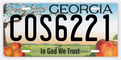 GA license plate COS6221