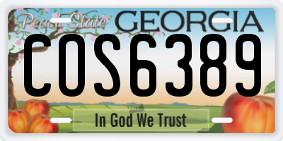GA license plate COS6389
