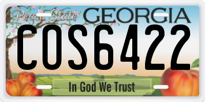 GA license plate COS6422