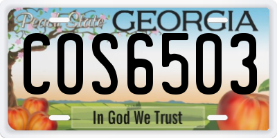 GA license plate COS6503
