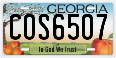 GA license plate COS6507