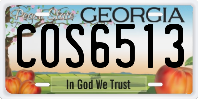 GA license plate COS6513