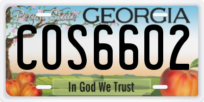 GA license plate COS6602