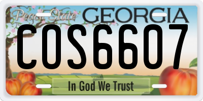 GA license plate COS6607