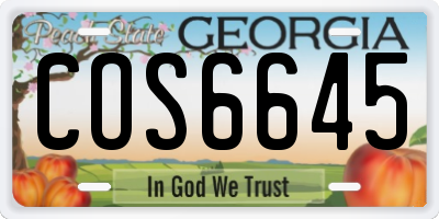 GA license plate COS6645