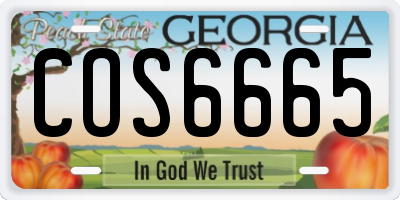 GA license plate COS6665