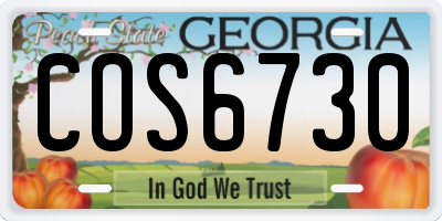 GA license plate COS6730