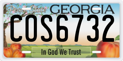 GA license plate COS6732