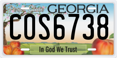 GA license plate COS6738