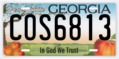 GA license plate COS6813
