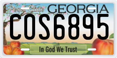 GA license plate COS6895