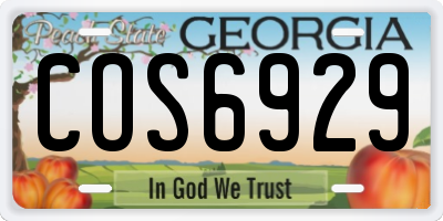 GA license plate COS6929
