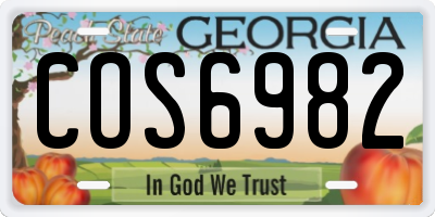 GA license plate COS6982
