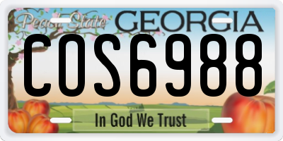 GA license plate COS6988