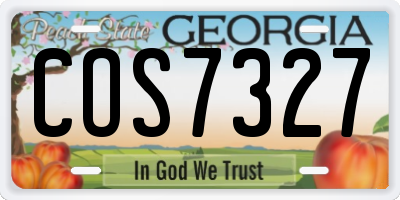 GA license plate COS7327
