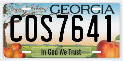 GA license plate COS7641