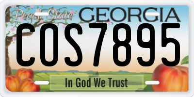 GA license plate COS7895