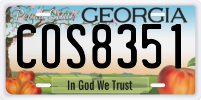 GA license plate COS8351