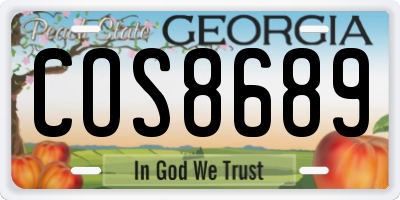 GA license plate COS8689