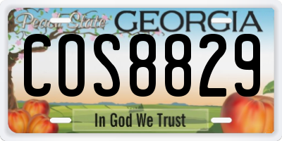 GA license plate COS8829