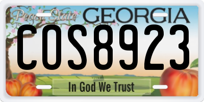 GA license plate COS8923
