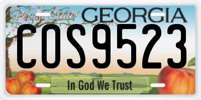 GA license plate COS9523