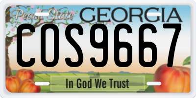 GA license plate COS9667