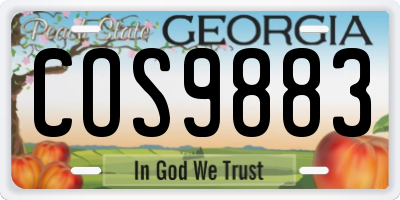 GA license plate COS9883