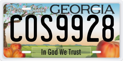 GA license plate COS9928
