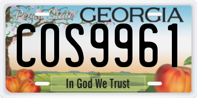 GA license plate COS9961