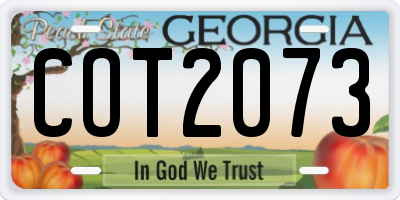 GA license plate COT2073
