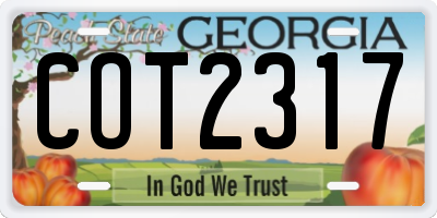 GA license plate COT2317