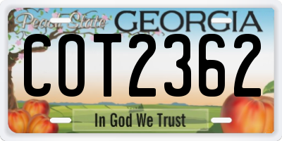 GA license plate COT2362