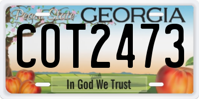 GA license plate COT2473