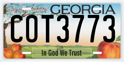 GA license plate COT3773