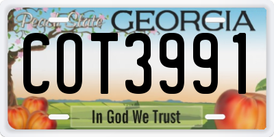 GA license plate COT3991