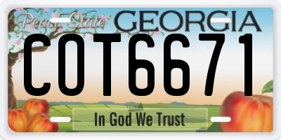 GA license plate COT6671
