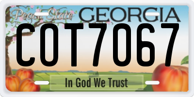 GA license plate COT7067