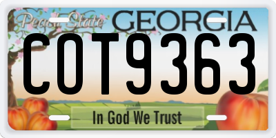 GA license plate COT9363
