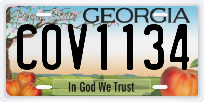 GA license plate COV1134