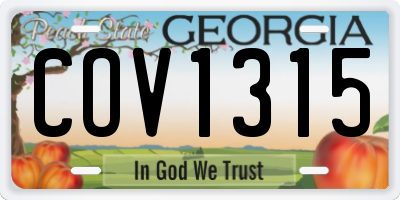 GA license plate COV1315