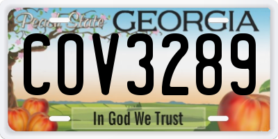 GA license plate COV3289