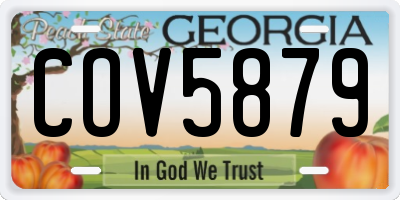 GA license plate COV5879