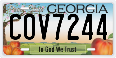 GA license plate COV7244