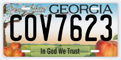 GA license plate COV7623