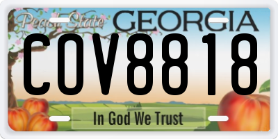 GA license plate COV8818